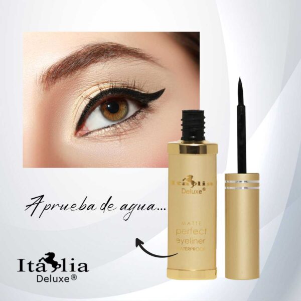 Delineador Perfect Eyeliner